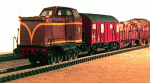 T21 med tåg